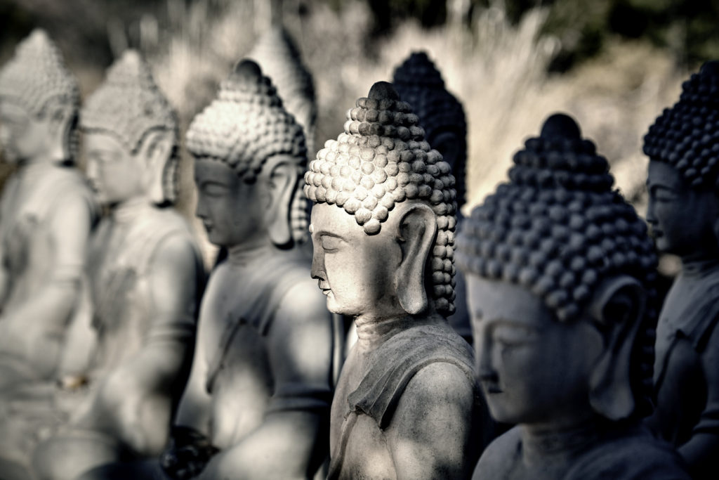 Meditating Buddha Statues in a Row